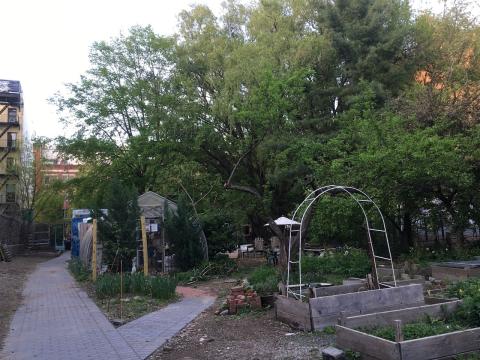 East Side Outside Community Garden 4/2025